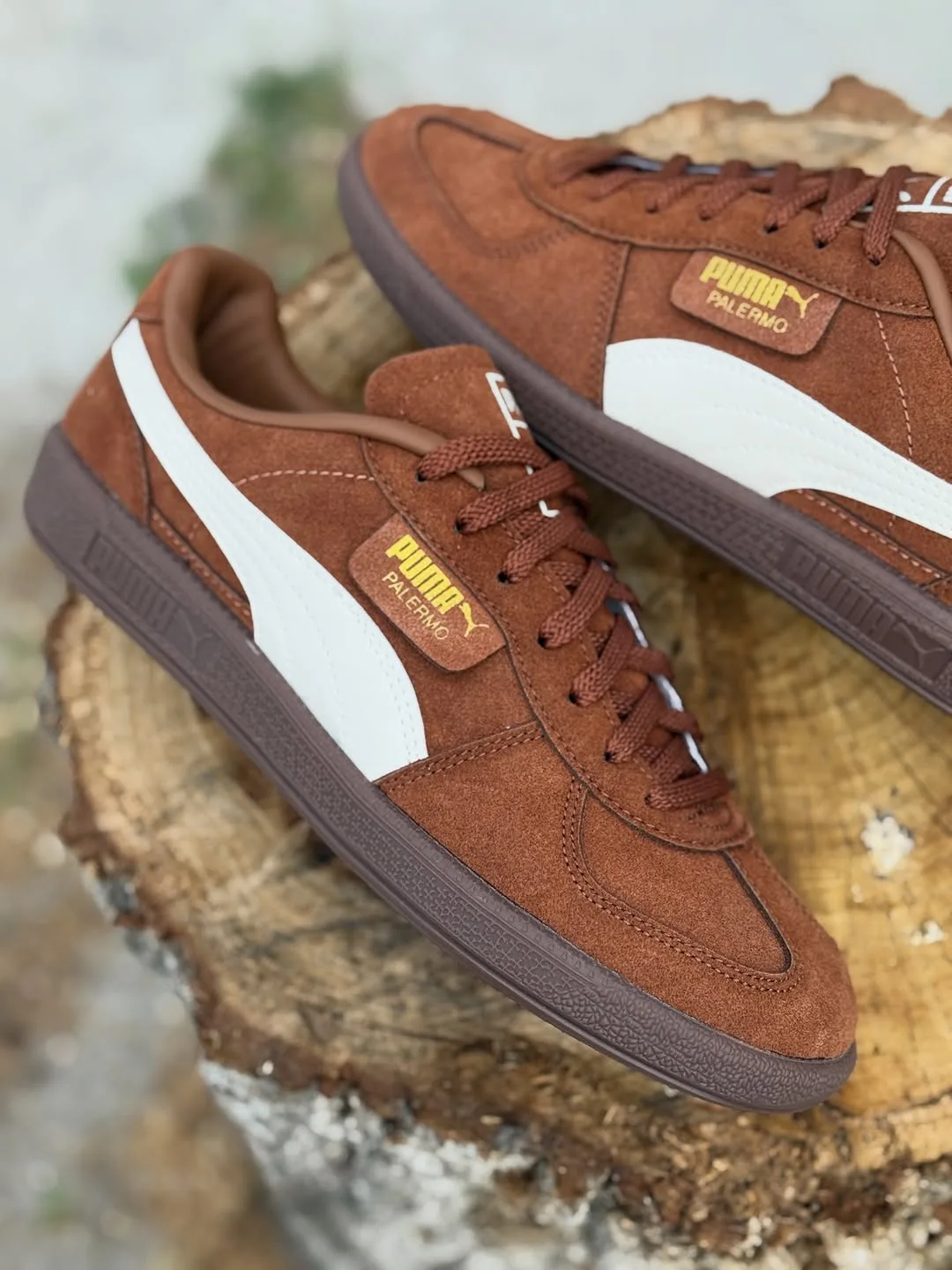Puma palermo brown